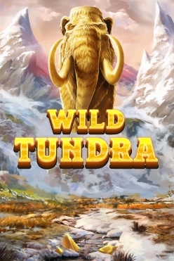 Игровой аппарат Wild Tundra от провайдера Red Tiger Gaming на рубли в онлайн-казино, зарегистрироваться и играть